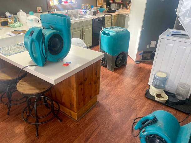 Best Local water damage restoration  in Fort Campbell North, KY