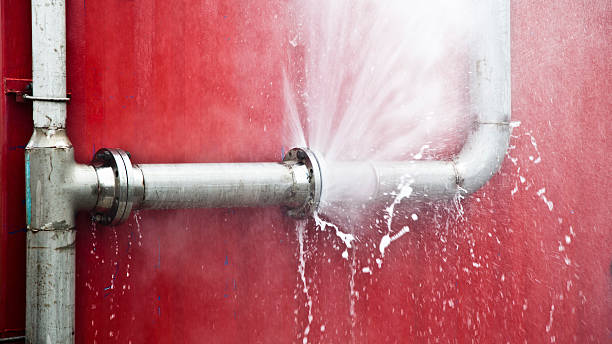 Best Carpet water damage restoration  in Fort Campbell North, KY