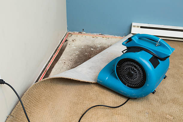 Best 24/7 water damage repair  in Fort Campbell North, KY